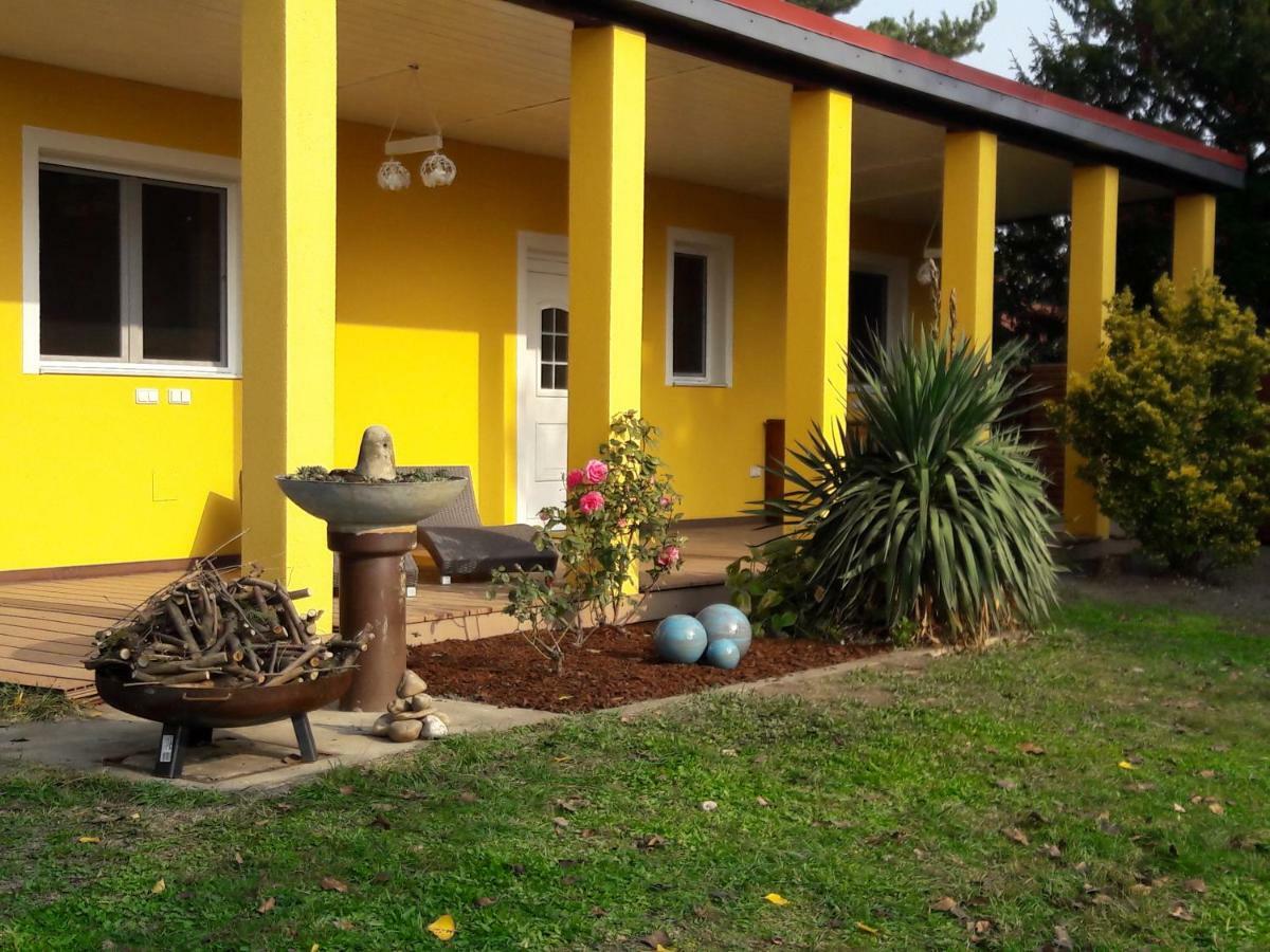 Bungalow At Lake Alte Donau Vienna Exterior photo
